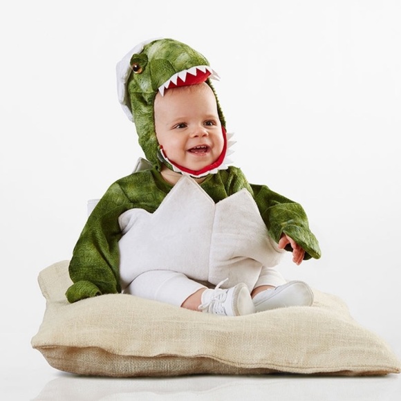 Pottery Barn Kids Costumes Pottery Barn Kids Dinosaur Hatching Egg